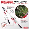 TABOR TOOLS GG22A Telescopic Extendable Anvil Lopper with Compound Action,
