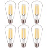 FLSNT 100W Equivalent LED Edison Bulbs, ST19/ST58 Dimmable LED Light