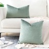 Artscope Luxury Velvet Cushion Covers Super Soft Decorative Throw Pillow