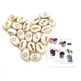 J&J Pack of 20 Seeds Magic Bean Magic Beans Gift Idea Repeat Event Curious Idea Home Gift Bingo Christmas Party in Love Special Message ..