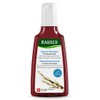 Rausch Willow Bark Treatment Shampoo 200ml / 라우쉬 윌로우바크 트리트먼트 샴푸 200ml