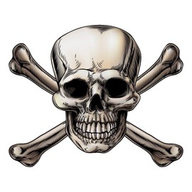 Vinyl Stickers Skull Crossbones Premium Quality Decals Indoor/Outdoor Use for Car Bumper Vehicle Laptop Window & Any Surfaces