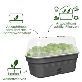 elho Green Basics Allin1 32 Propagation Bowl - Propagation Set - 100% Recycled Plastic - Diameter 32.0 x Height 13.2 cm - Black/Living Black