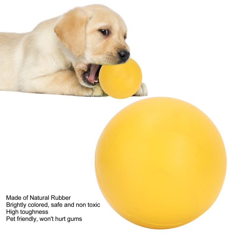Dog Bouncing Ball Solid High Elasticity Toxic Free Floating Rubber