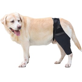Yealay Dog Leg Support Brace Breathable Dog Front Back Leg Protector Adjustable Professional Pet Recovery Sleeve Extra Support & Prevent Injuries (L)