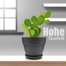 BigDean Pack of 3 Flower Pot with Saucer, Round, Diameter 30 cm, in Anthracite, Planter Suitable for Indoor and Outdoor Use, Made in Europe