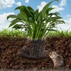 Plant Root Guard Baskets - 6 Pcs Stainless Steel Wire