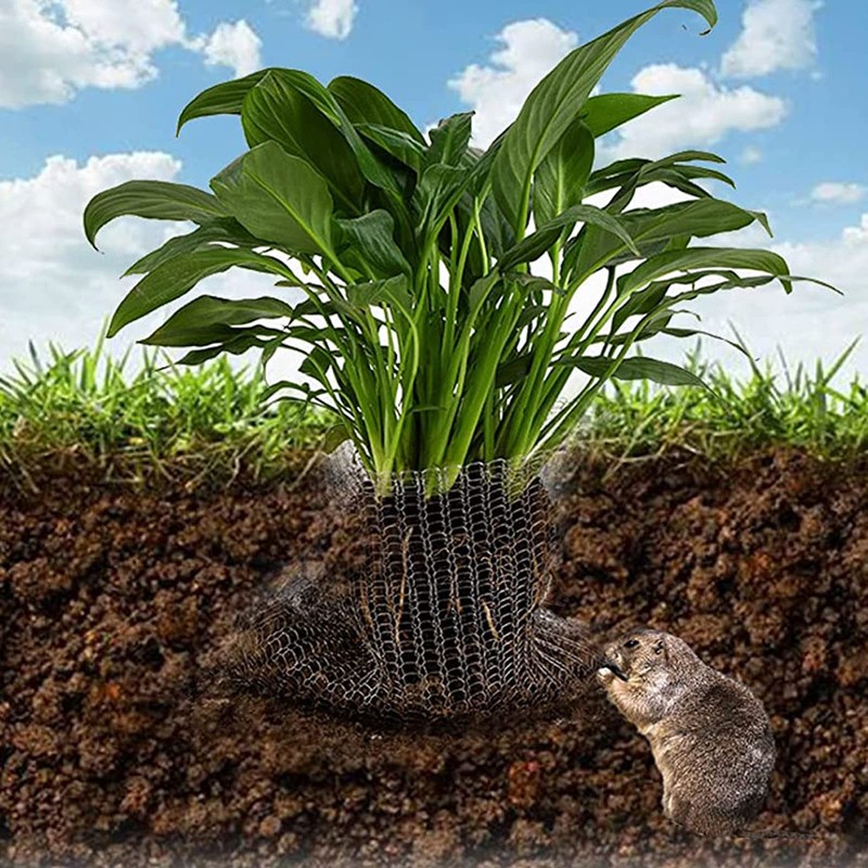 Plant Root Guard Baskets - 6 Pcs Stainless Steel Wire