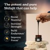 BetterAlt Pure Himalayan Shilajit Resin | Himalayan Superfood | Lab-Tested