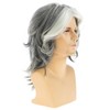Dsimeig Mens Wig Grey Long Straight Synthetic Heat Resistant Costume