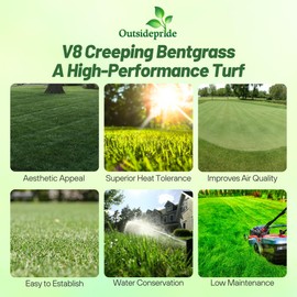 Outsidepride V8 Creeping Bentgrass Seed - 2 lbs. Fine-Bladed, Premium Quality Turf, Grass Seeds for Smooth Surface, & High-Traffic Areas, Ideal Grass for Golf Courses Putting Greens, & Fairways