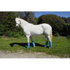 Rhinegold 0 Elite Half Length Travel Boat Pony Turquoise Travel Boots