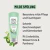 Guhl Scalp Sensitive Mild Conditioner – Volume: 200 ml –