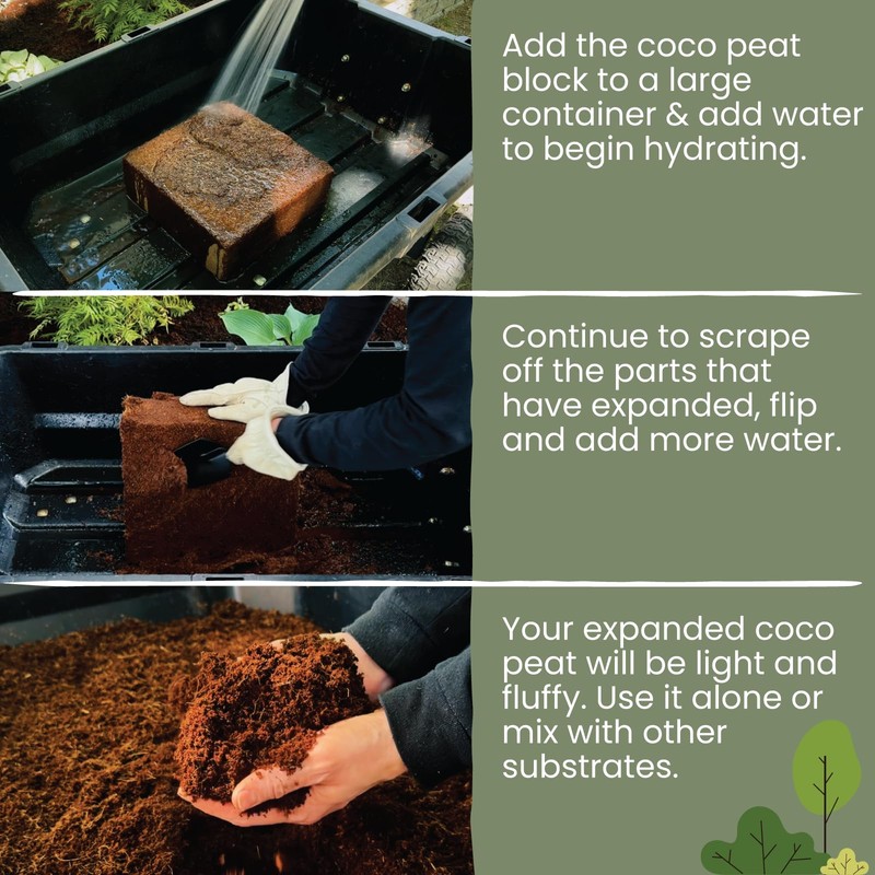 MagJo Naturals 100% Pure Coco Coir (Coco Peat) 11 Pound