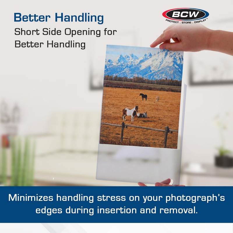 BCW 8x10 Toploader Holder - 25 Count | Rigid PVC,