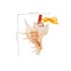Conch Whistle, Alasum Whistle for Large Seashell Whistle, Shell Toy,