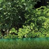 Ieron Lawn Edging Border,Flexible Plastic Landscaping Plastic Border Edging Roll,Lawn