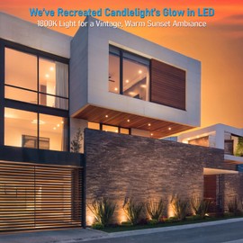 LEONLITE Dia. 4 Inch Well Lights Landscape LED In Ground, Grated Top, 5 Color Temperature Selectable, 12-24V AC/DC CRI90 Low Voltage Garden Landscaping, Black Aluminum Housing, Pack of 6