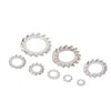 300Pcs External Tooth Star Lock Washer Stainless Steel Starlock Washer