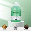 Ginger Lily Farms 1 Gallon Moisturizing Shampoo – Nourishing Formula,