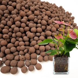 BIOMAND 2.5qt LECA Clay Pebbles for Plants, 10-20mm LECA Balls for Hydroponics, Natural Clay Balls for Plants Drainage, Expanded Pebbles for Orchids, Soil Amendment, Orchid Potting Mix