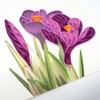 Wow Crocus Flower Bulbs - Quilling Greeting Card for All