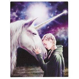 Something Different AS_16130 Canvas Plaque | The Wish by Anne Stokes | H19 W25cm x D1.4cm | Pack of 1, multicolor