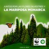 Air Wick Aromatizante de Ambiente Eléctrico Aparato + Repuesto Turquoise