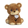 Aurora® Inspirational Precious Moments™ Charlie Bear Stuffed Animal - Cherished