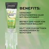 John Frieda Deep Cleanse & Repair Conditioner - Contents: 250