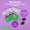 ISpy Glo-Kit Head Lice Treatment & Detection Kit with Biofluorescent