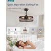 LEDIARY 18 inch Black Caged Ceiling Fan with Light, Bladeless