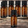 Essen Herb Hair Oil Almond Oil Tea Tree 100 Oil 6 Pieces 10ml / 에센허브 헤어오일 아몬드오일 티트리 100 오일 6개 10ml