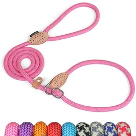 Grand Line Slip Lead Dog Leash, 5FT Reflective Slip Rope, Puppy Training Walking Controlling Lead, Slip Collar Pet Leash for Small, Medium, Large Dogs (Pink, Medium-2/5in x 5ft)