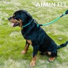 Aiminto Dog Leash, Braided Rope Traction – Walking Training Lead