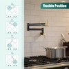 Heyalan Pot Filler 19 Inch Wall Mount Folding Stretchable Kitchen