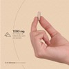 B Life Adaptógeno Hongo Melena de León 100% Orgánico 180