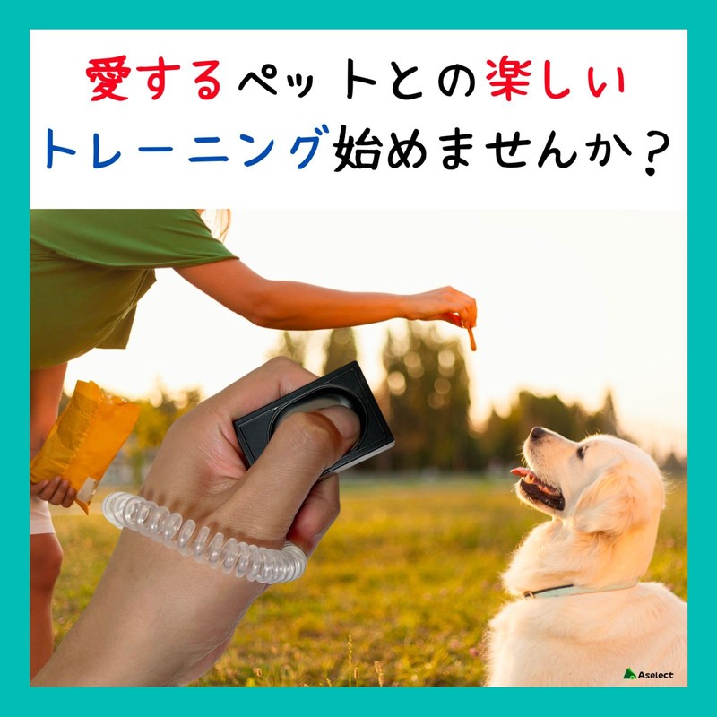 Aselect Clicker Dog Clicker Clicker Dog Clicker Bird Cat Clicker