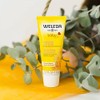 Weleda - Weleda Calendula Face Cream - 50 ml