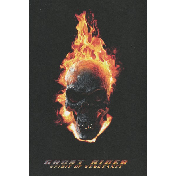 Ghost Rider 2 Nicolas Cage Ghost Rider: Spirit Of Vengeance Movie pamphlet Director Mark neberudain, Brian Taylor Cast, kiaran・hainzu, biorante・purasido, Jonny Whitworth, Christopher Lambert
