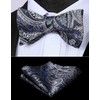 HISDERN Bow Ties for Men Paisley Mens Bow Tie Self