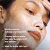 PHYTOMER Perfect Visage Gentle Cleansing Milk - 8.4 fl oz