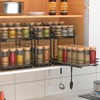 BOIVSHI 2-Tier Spice Rack, Pull Out Spice Racks Organizer for