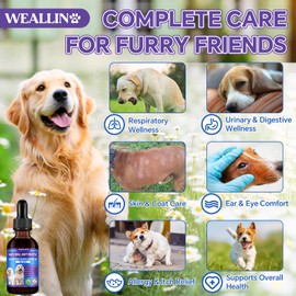 Dog Antibiotics Support - Natural Antibiotics Care for Dogs Herbal Supplement for Cough Allergy Itch Relief Immune Support Dog UTI Comfort for All Breeds & Ages - 60 ml/2 Fl Oz Bacon Flavor