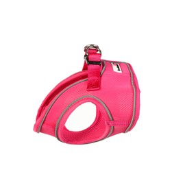 Doodlebone Snappy Harness, Fuchsia, 2