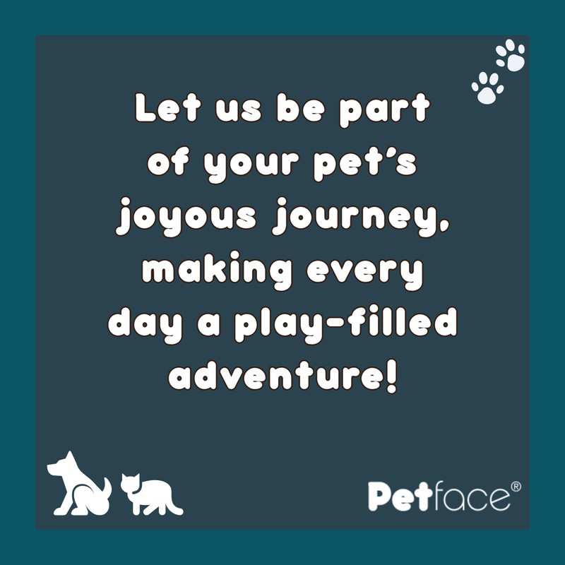 Petface Light Up Disco Ball Interactive Colour Changing Cat Toy