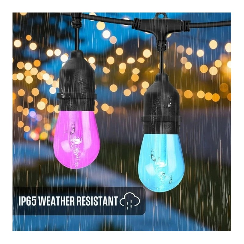 Westinghouse 24 Bulb Color Changing String Light 48 Foot