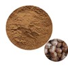 Fermented Chestnut Shell Concentrated Powder 100g Sample