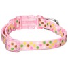 amble color point pink