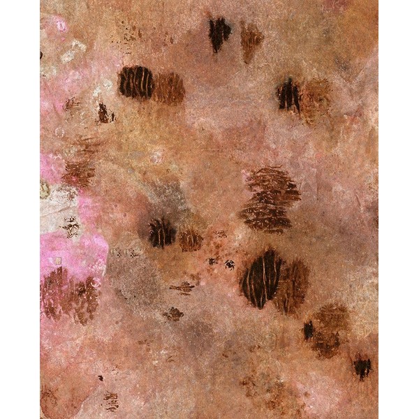 Sugared and Bronzed-8L Poster Print - Melissa Renee (24 x